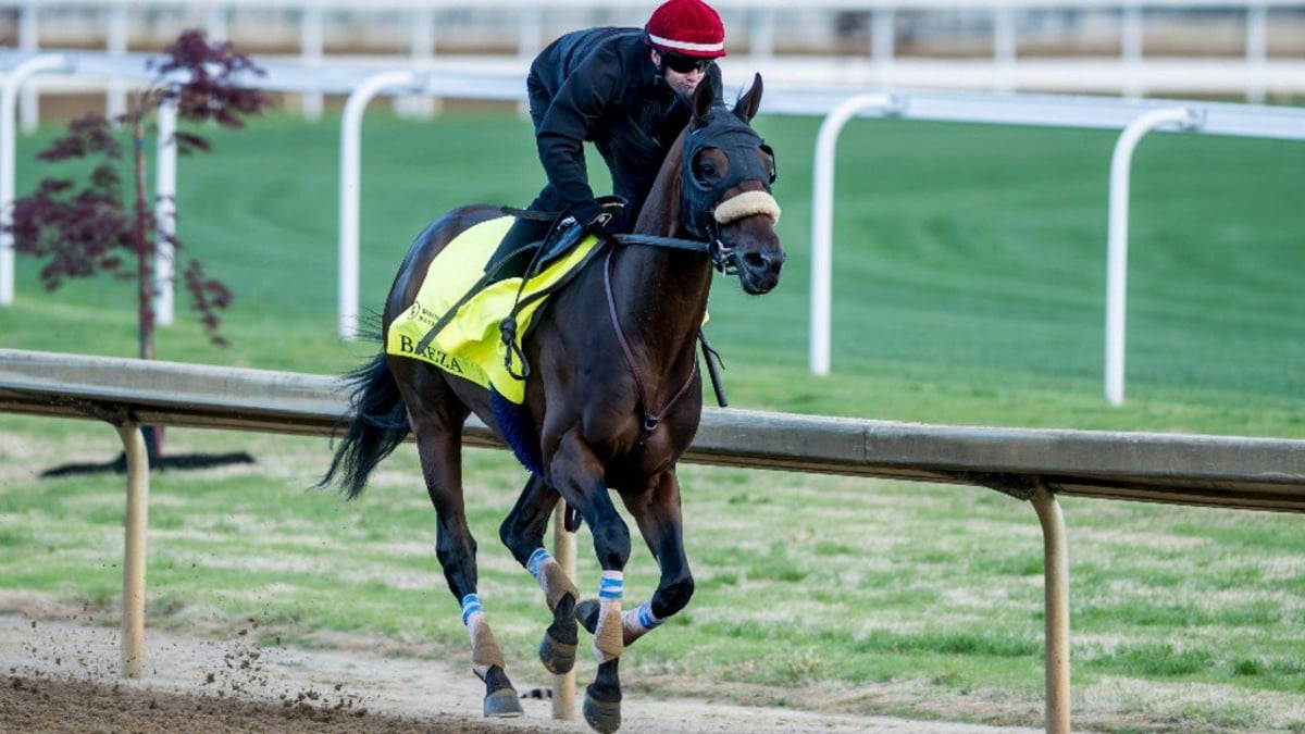 Rodriguez Scratched From Kentucky Derby, Replaced by Baeza Rodriguez Scratched From Kentucky Derby, Replaced by Baeza