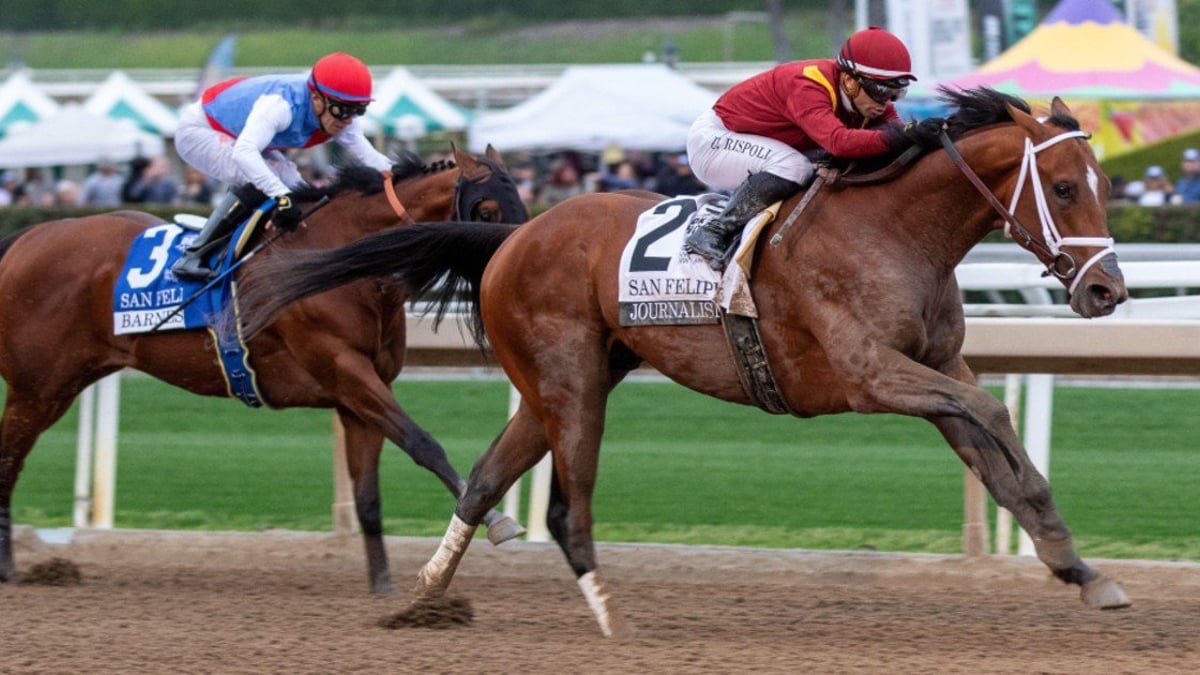 Will Journalism Run In The Preakness? Decision Expected Within Days Will Journalism Run In The Preakness? Decision Expected Within Days