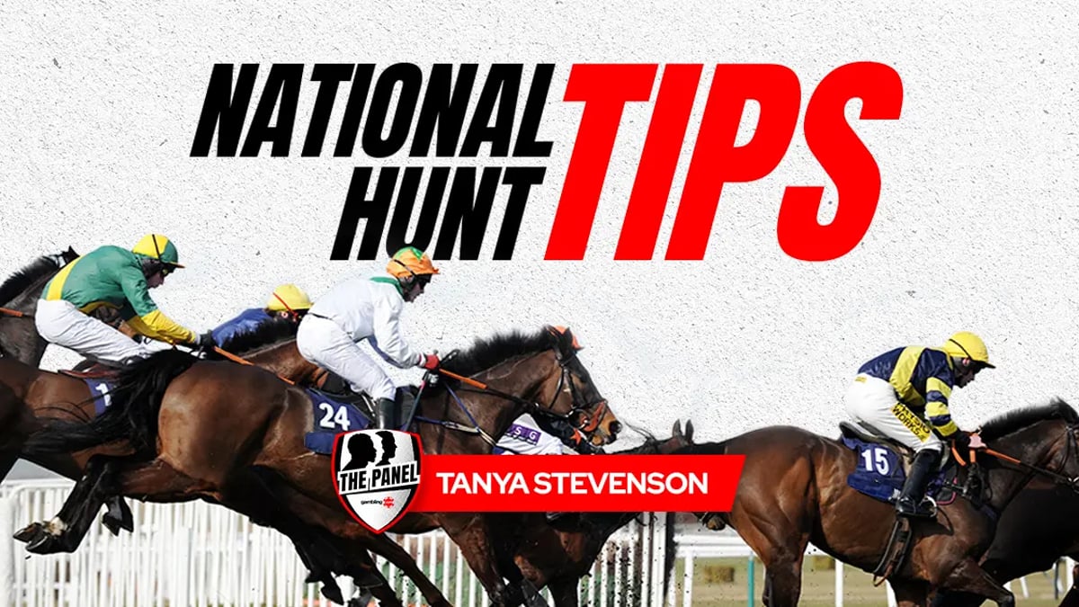 Tanya Stevenson's 3 Selections From The November Meeting At Cheltenham Tanya Stevenson's 3 Selections From The November Meeting At Cheltenham
