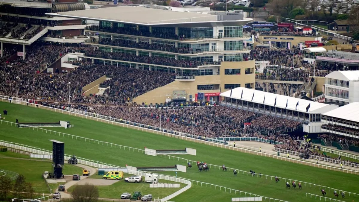 Best Cheltenham Festival Offers 2026: Free Bets For New Customers Best Cheltenham Festival Offers 2026: Free Bets For New Customers