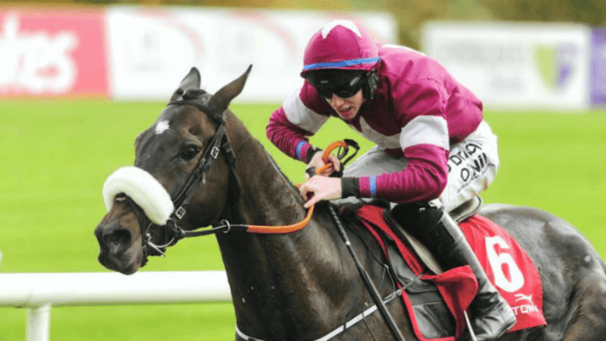 Top 6 Horses Worth Betting on for Cheltenham Festival 2018 Top 6 Horses Worth Betting on for Cheltenham Festival 2018