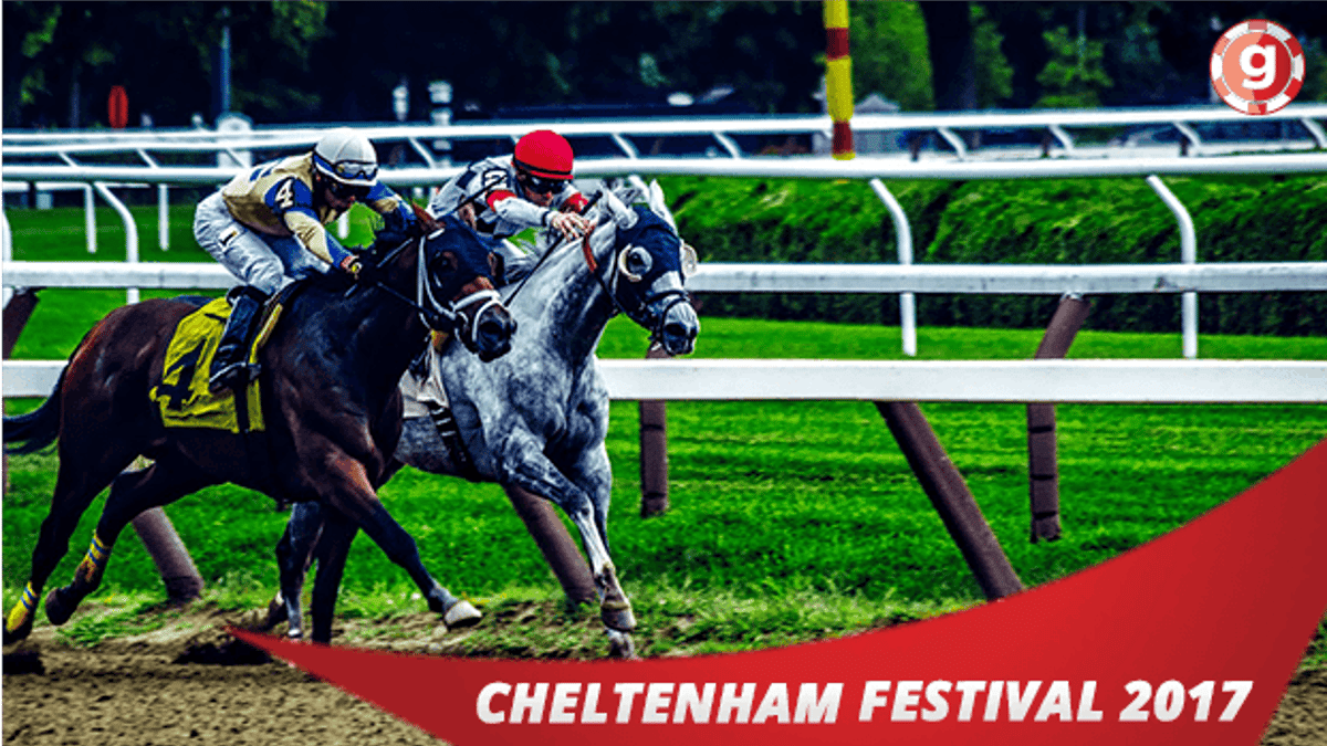 Ultimate Guide to the Best Bets of Cheltenham Festival 2017 Ultimate Guide to the Best Bets of Cheltenham Festival 2017