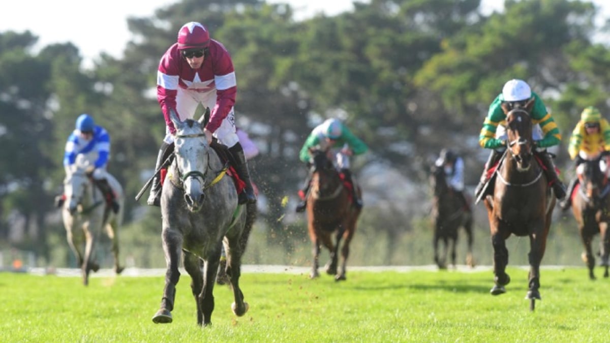 What 3 Cheltenham Handicap Bets Does Paddy Aspell Fancy? What 3 Cheltenham Handicap Bets Does Paddy Aspell Fancy?