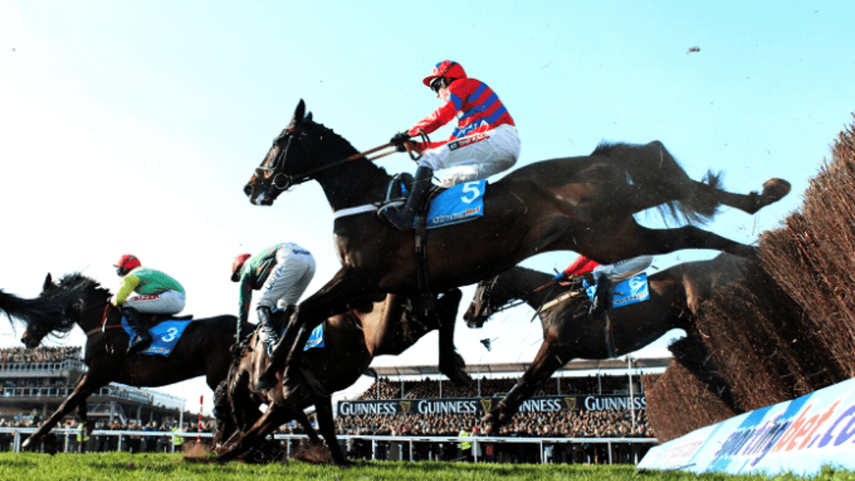 The 11 Best Jumps Horses Of The Decade The 11 Best Jumps Horses Of The Decade