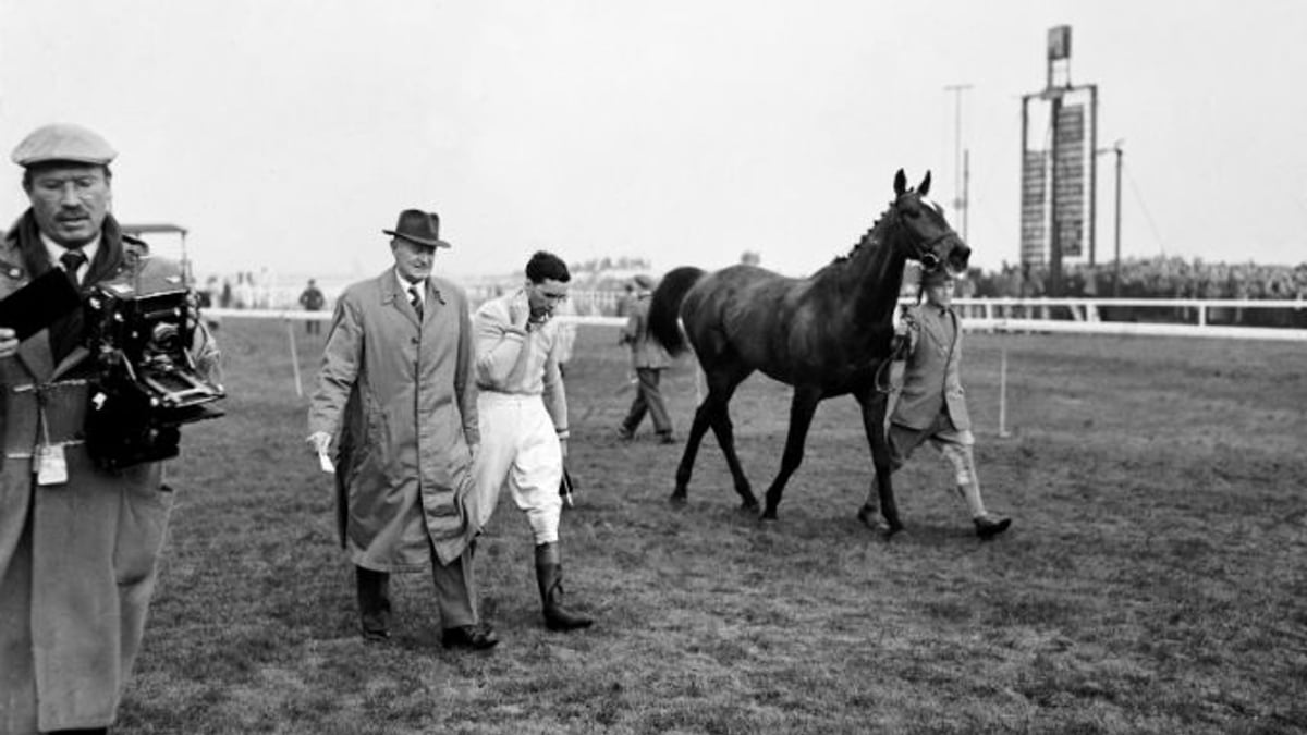 The Story Of Devon Loch And The 1956 Grand National The Story Of Devon Loch And The 1956 Grand National