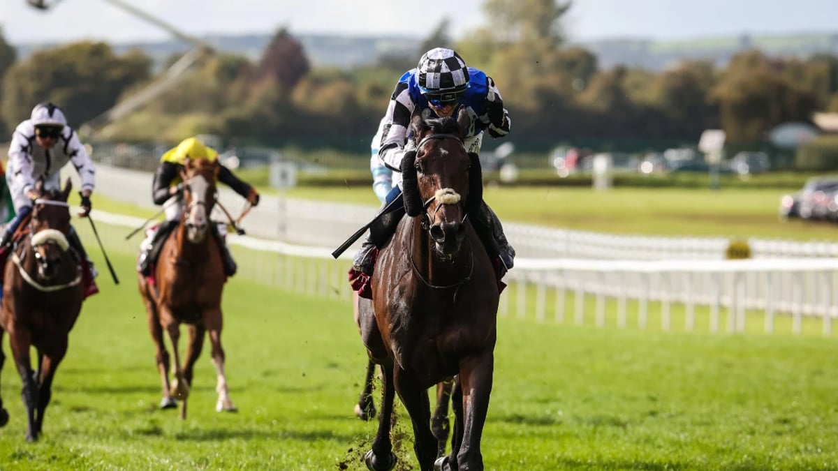 Irish Eyes Will Be Smiling: Al Riffa To Teach Aussies A Lesson On Their Own Soil Irish Eyes Will Be Smiling: Al Riffa To Teach Aussies A Lesson On Their Own Soil