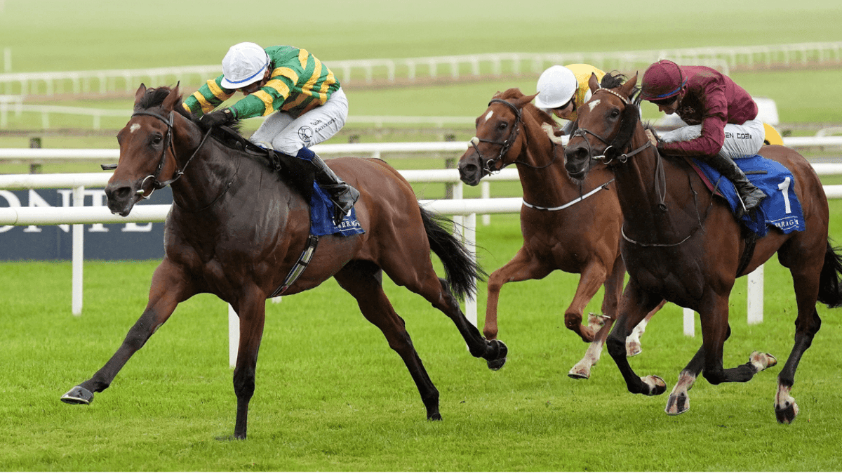 Cheltenham Day 1 Handicap Tips With Extra Each-Way Places Cheltenham Day 1 Handicap Tips With Extra Each-Way Places