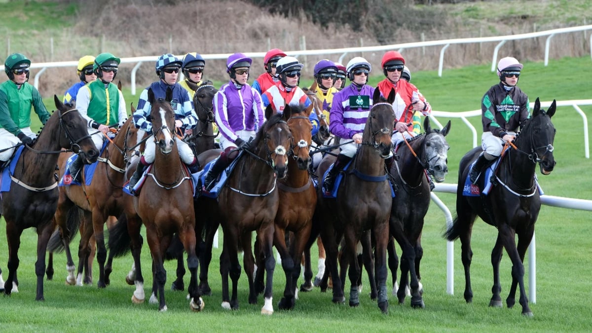 Cheltenham Festival 2026: Can Anyone Beat The Bankers? Cheltenham Festival 2026: Can Anyone Beat The Bankers?