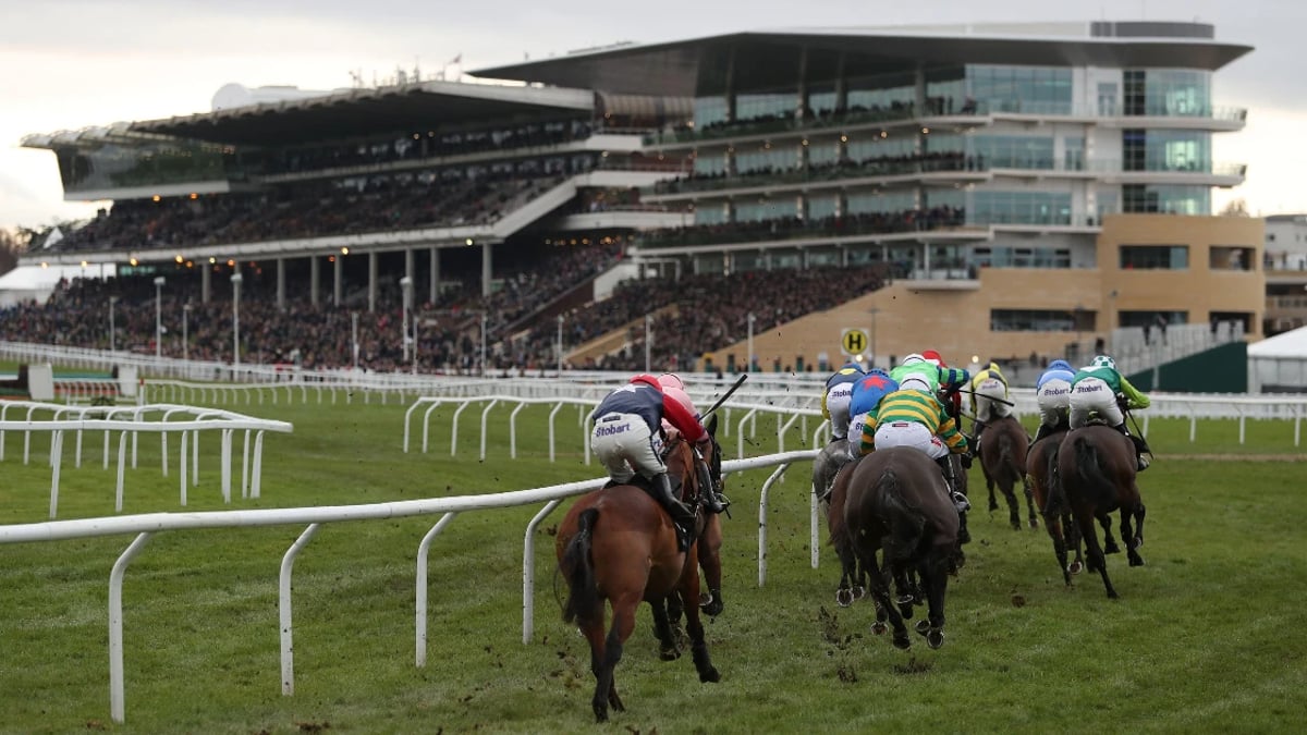 Racehour's Best Handicap Bets At The Cheltenham Festival Racehour's Best Handicap Bets At The Cheltenham Festival
