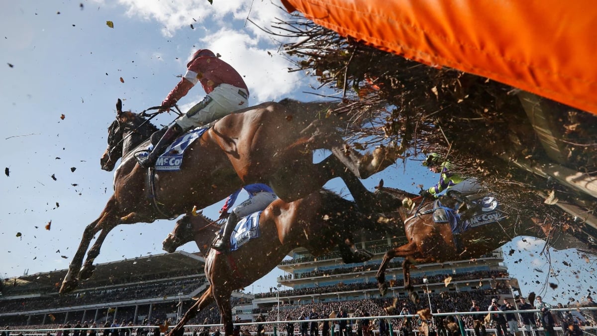 Cheltenham 2025: Three Festival Clashes To Look Forward To Cheltenham 2025: Three Festival Clashes To Look Forward To