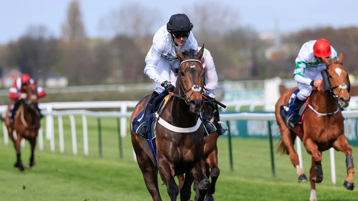 Cheltenham 2025: Can Anything Stop Constitution Hill? Cheltenham 2025: Can Anything Stop Constitution Hill?