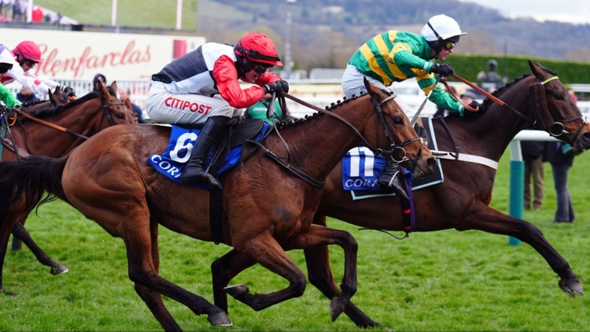 Coral Cheltenham Offers for the Gold Cup: Claim £20 Free Bets for Day 4 Coral Cheltenham Offers for the Gold Cup: Claim £20 Free Bets for Day 4