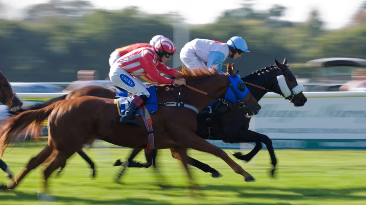Horse Racing Tips: Boosted Acca For Saturday's Action Horse Racing Tips: Boosted Acca For Saturday's Action