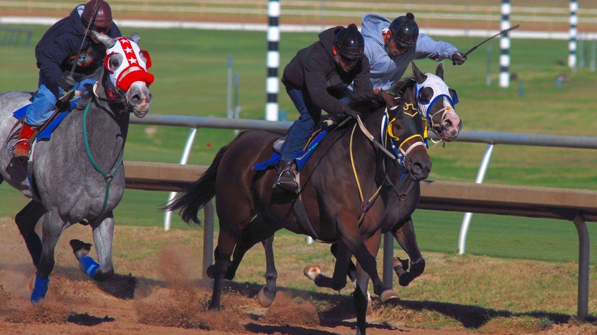 US Horse Racing Shakeup: New 2027 Series Drops Preakness US Horse Racing Shakeup: New 2027 Series Drops Preakness