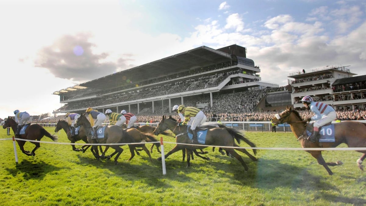 Galway Racing Festival Tips: Tuesday's Best Bets Galway Racing Festival Tips: Tuesday's Best Bets