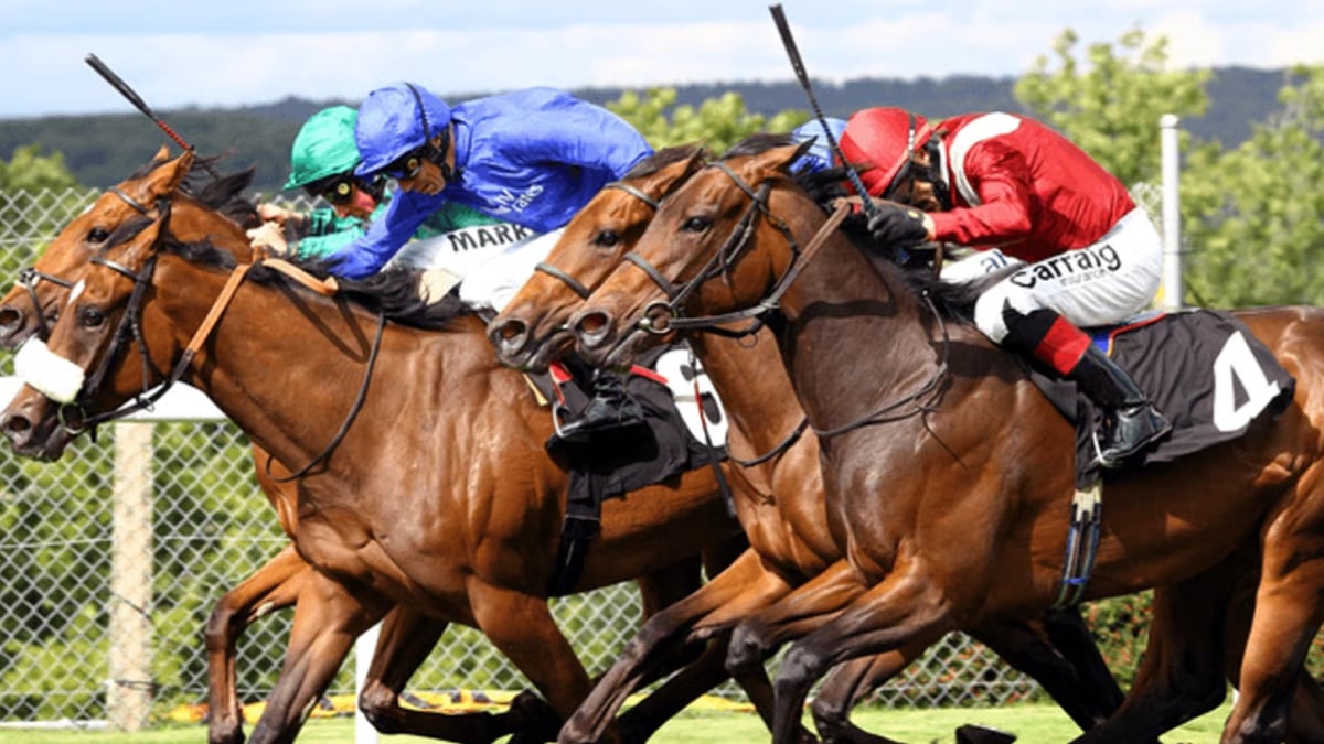 What is Lay Betting and When Should Bettors Do It? What is Lay Betting and When Should Bettors Do It?