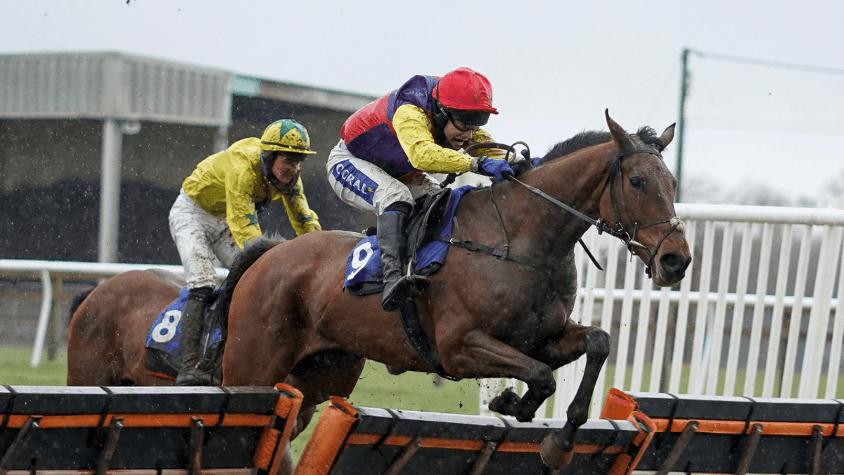Horse Racing Tips: Tanya Stevenson's 3 Best Bets For Ascot On Saturday Horse Racing Tips: Tanya Stevenson's 3 Best Bets For Ascot On Saturday