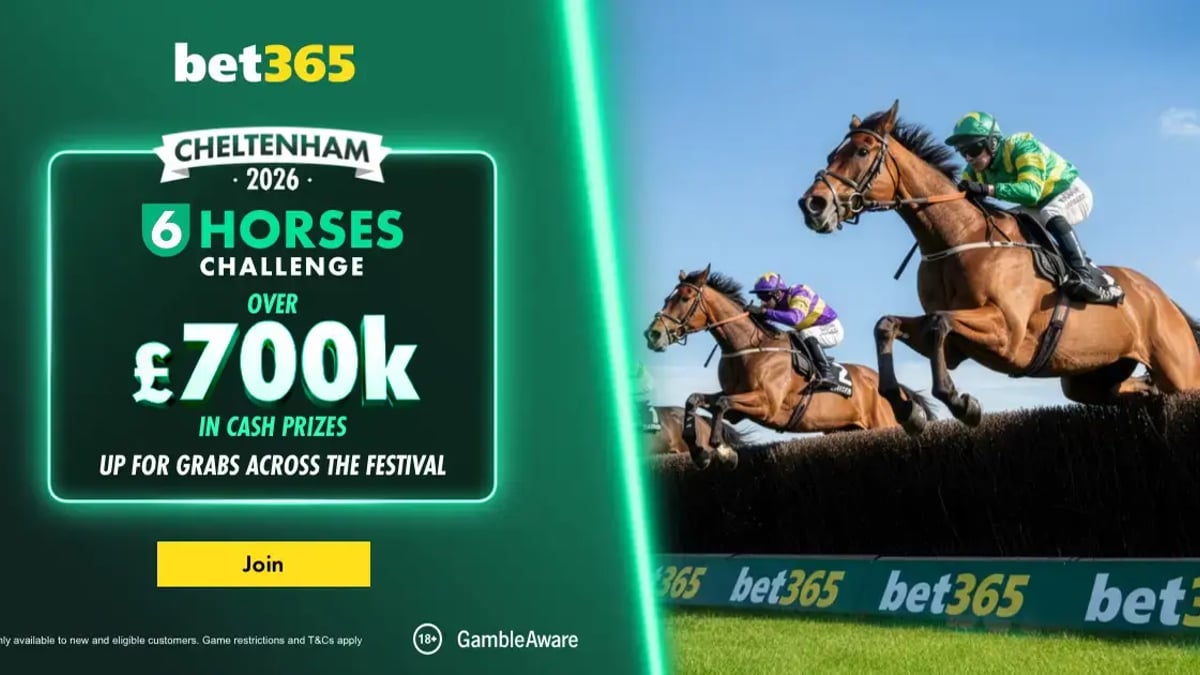 Play The 6 Horses Cheltenham Challenge With Bet365 Play The 6 Horses Cheltenham Challenge With Bet365