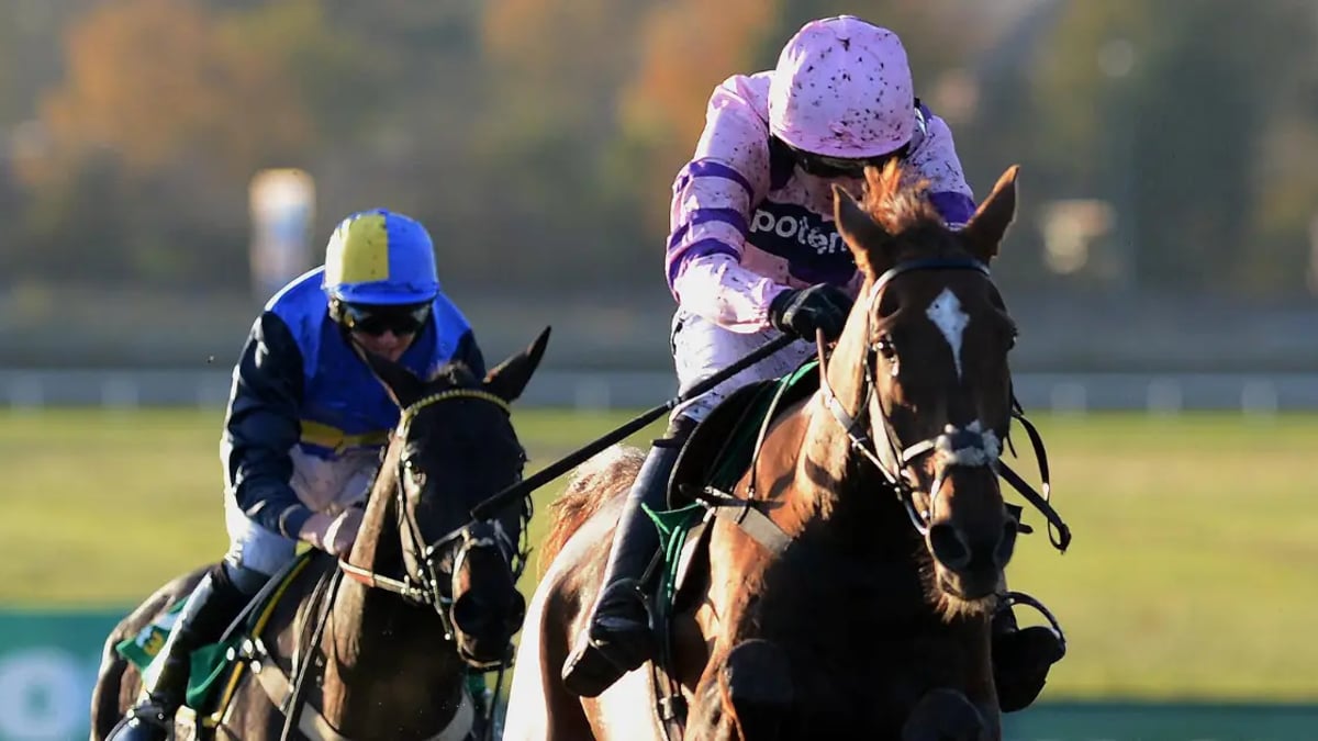 Horse Racing Tips: Tanya Stevenson's 3 Bets For Saturday Horse Racing Tips: Tanya Stevenson's 3 Bets For Saturday