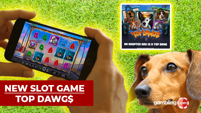 Relax Gaming's Top Dawgs Slot Supports ‘Adopt a Shelter Pet Day’ Relax Gaming's Top Dawgs Slot Supports ‘Adopt a Shelter Pet Day’
