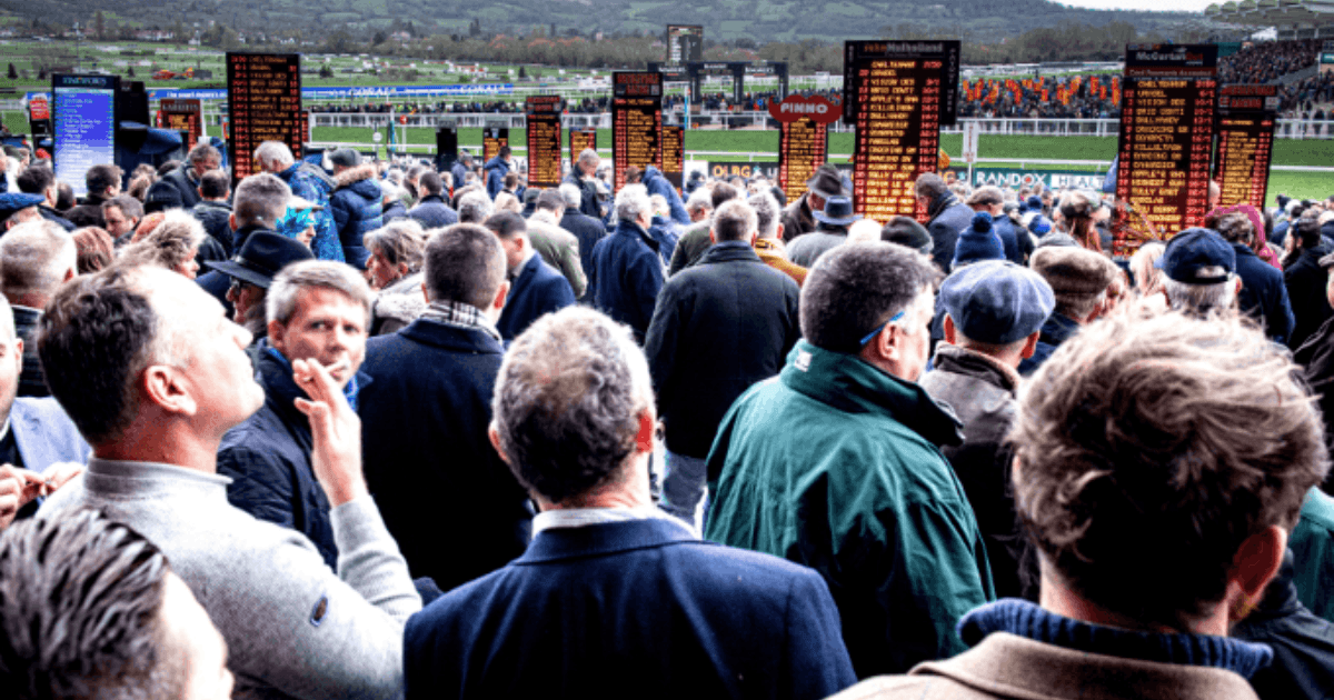 Top 10 Biggest Ever Horse Racing Accumulator Wins Top 10 Biggest Ever Horse Racing Accumulator Wins