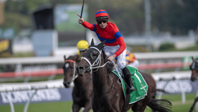 Verry Elleegant: Melbourne Cup Result a Huge Win For Bookies Verry Elleegant: Melbourne Cup Result a Huge Win For Bookies