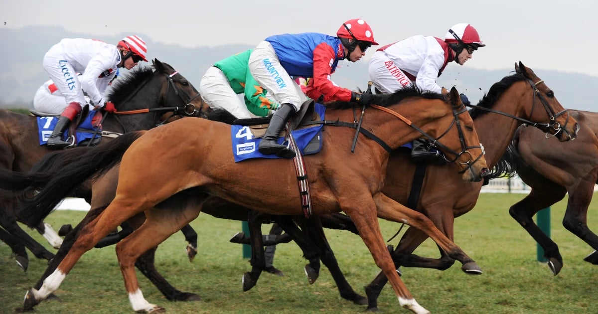 Bet On Cheltenham: The Best Races To Follow At The 2025 Festival Bet On Cheltenham: The Best Races To Follow At The 2025 Festival