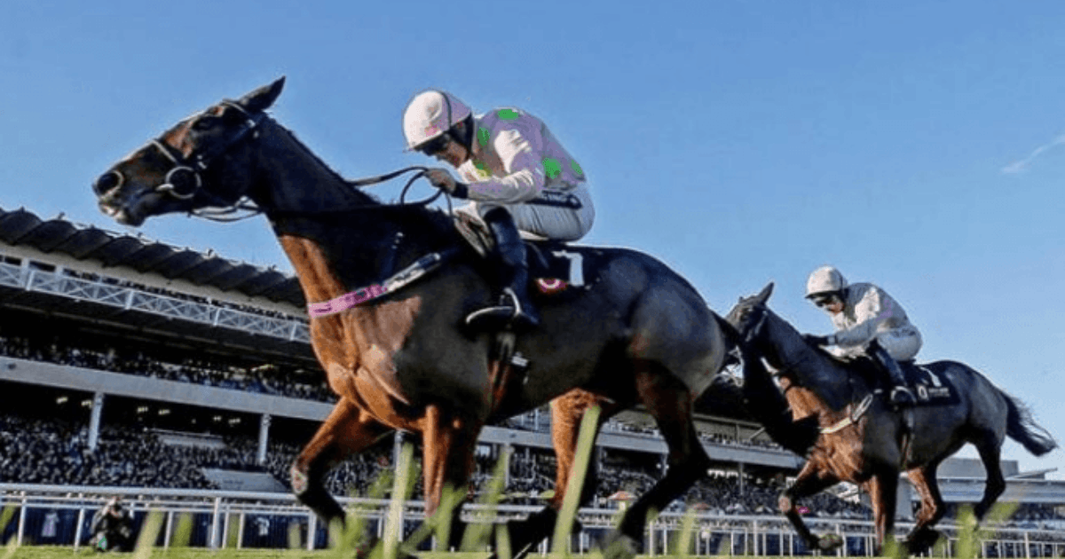 Dublin Racing Festival Preview Dublin Racing Festival Preview