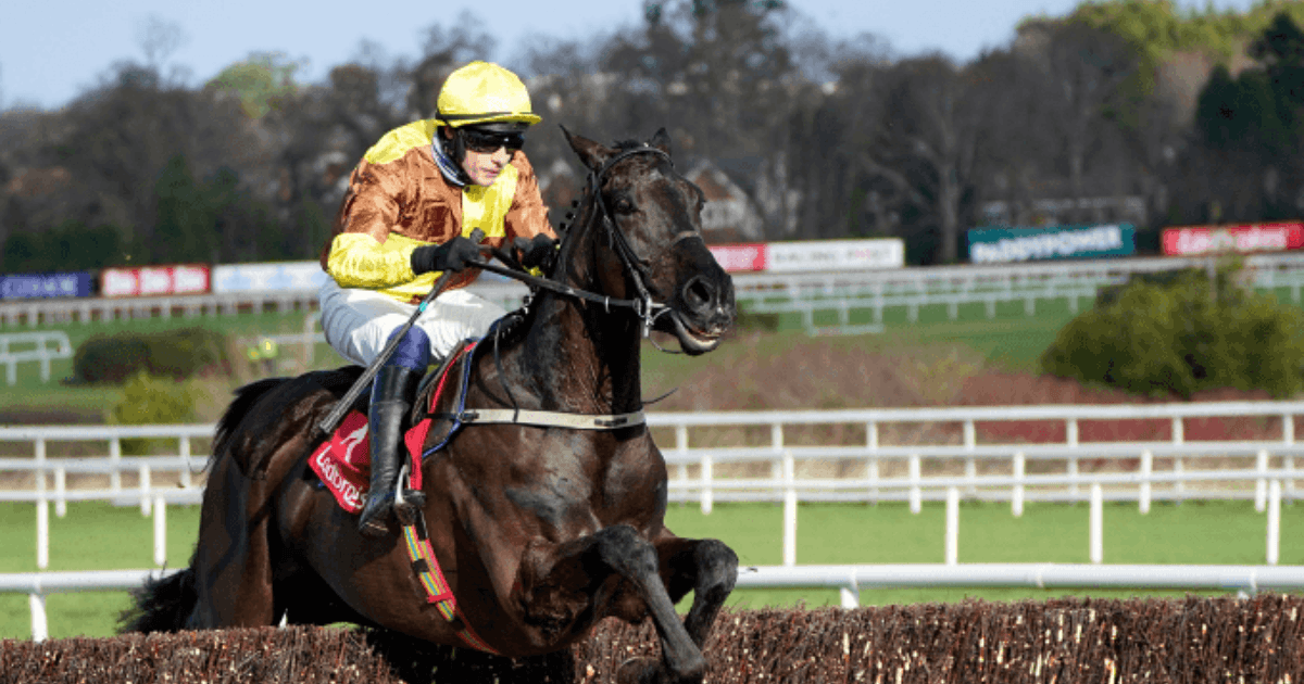 Which Race will Galopin Des Champs Run In At The Cheltenham Festival? Which Race will Galopin Des Champs Run In At The Cheltenham Festival?