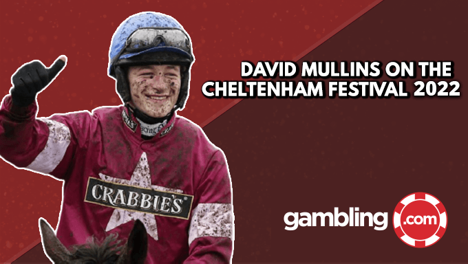 Cheltenham Festival: David Mullins On Why A Five-Day Meeting Is A Bad Idea Cheltenham Festival: David Mullins On Why A Five-Day Meeting Is A Bad Idea