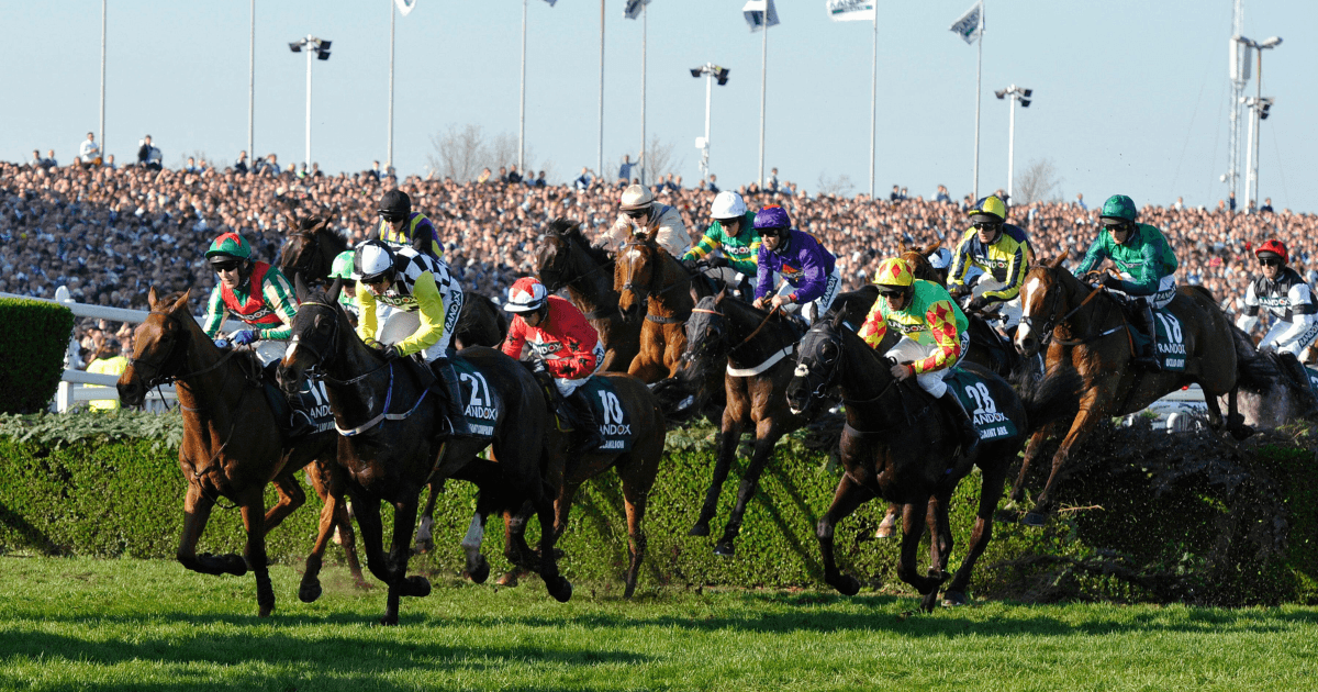 Grand National 2025: Trends To Consider Before Placing Your Bet Grand National 2025: Trends To Consider Before Placing Your Bet