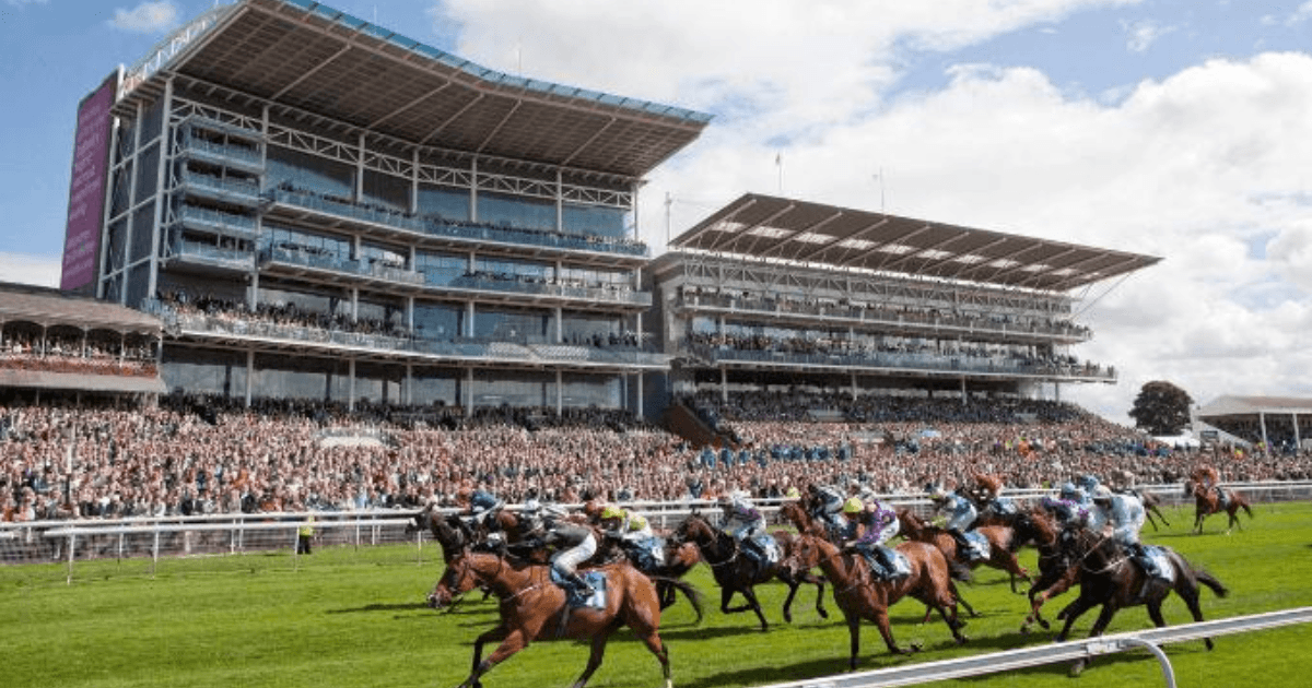 York Ebor Festival Tips: What To Bet On At This Week's Meeting York Ebor Festival Tips: What To Bet On At This Week's Meeting