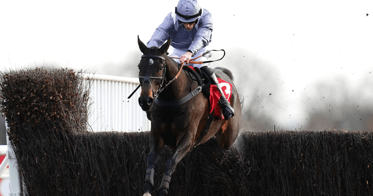 King George Chase Betting Tips, Odds & Analysis King George Chase Betting Tips, Odds & Analysis