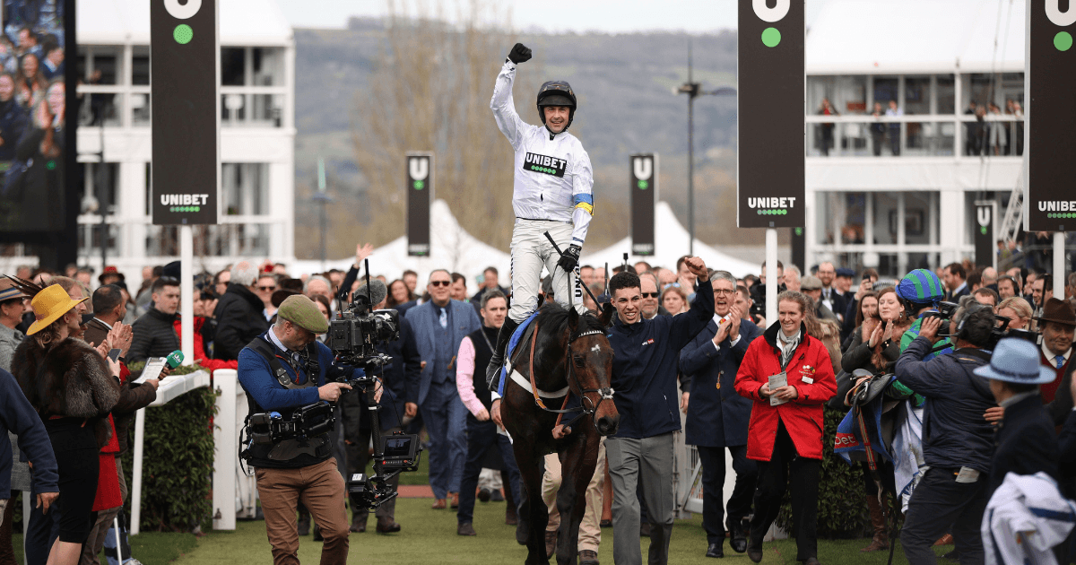 Cheltenham Festival 2024: Can Anything Stop Constitution Hill in the Champion Hurdle? Cheltenham Festival 2024: Can Anything Stop Constitution Hill in the Champion Hurdle?
