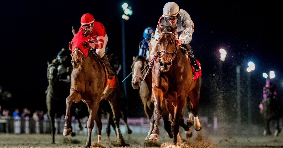 Ranking the Most Important Kentucky Derby Prep Races Ranking the Most Important Kentucky Derby Prep Races