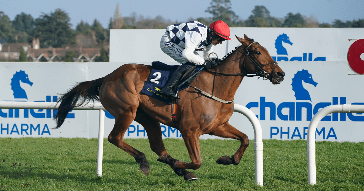 Supreme Novices Hurdle - Will Ballyburn run in the Festival opener? Supreme Novices Hurdle - Will Ballyburn run in the Festival opener?