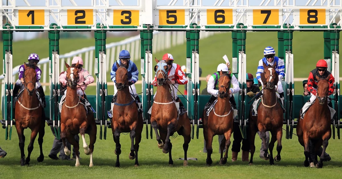 Horse Racing Tips: Today's Predictions & Best Bets At Kempton Horse Racing Tips: Today's Predictions & Best Bets At Kempton