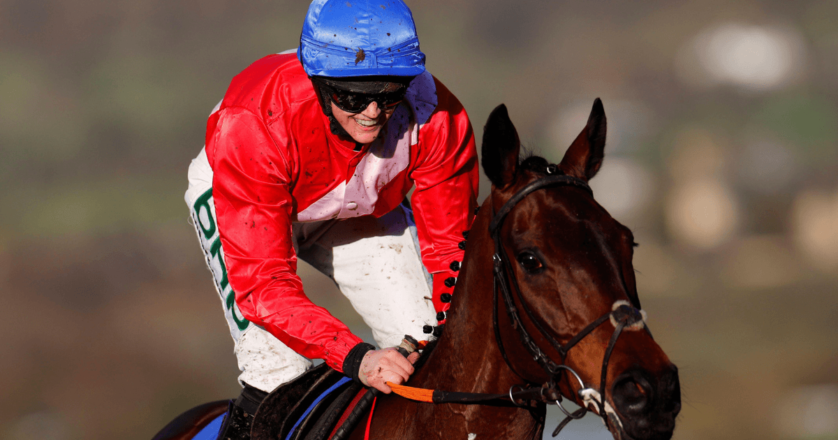 Cheltenham Festival 2023: Rachael Blackmore Horses To Follow Cheltenham Festival 2023: Rachael Blackmore Horses To Follow