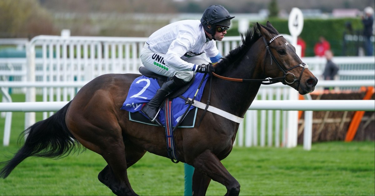 Cheltenham Tips: Champion Hurdle Betting Odds, Preview And Predictions Cheltenham Tips: Champion Hurdle Betting Odds, Preview And Predictions