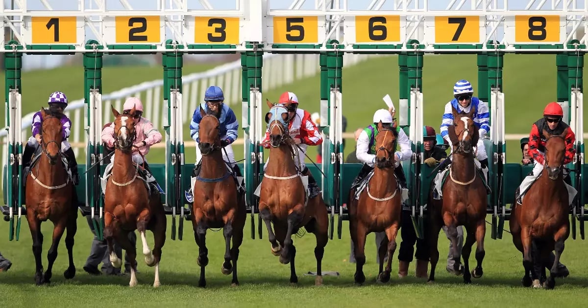 Horse Racing Tips: Best Betting Tips for Saturday Horse Racing Tips: Best Betting Tips for Saturday