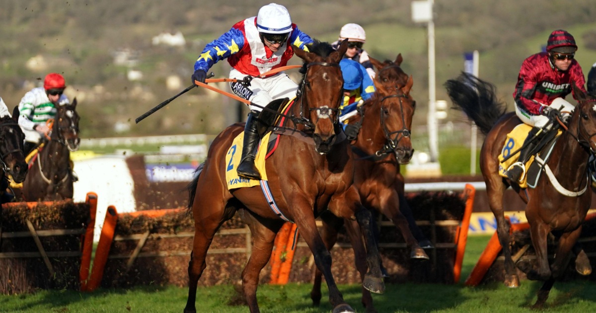 Cheltenham Tips: Our Best Each-Way Bets For Day 1 At The Festival Cheltenham Tips: Our Best Each-Way Bets For Day 1 At The Festival