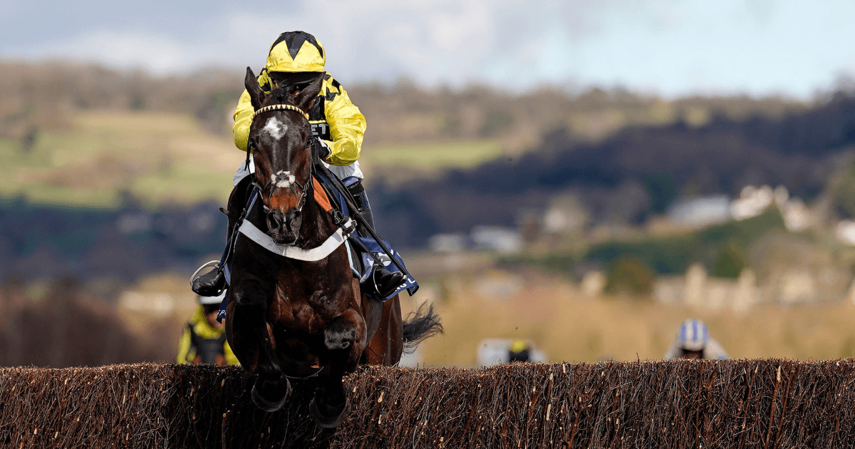 Cheltenham Tips: Ryanair Chase Betting Odds, Preview And Predictions Cheltenham Tips: Ryanair Chase Betting Odds, Preview And Predictions