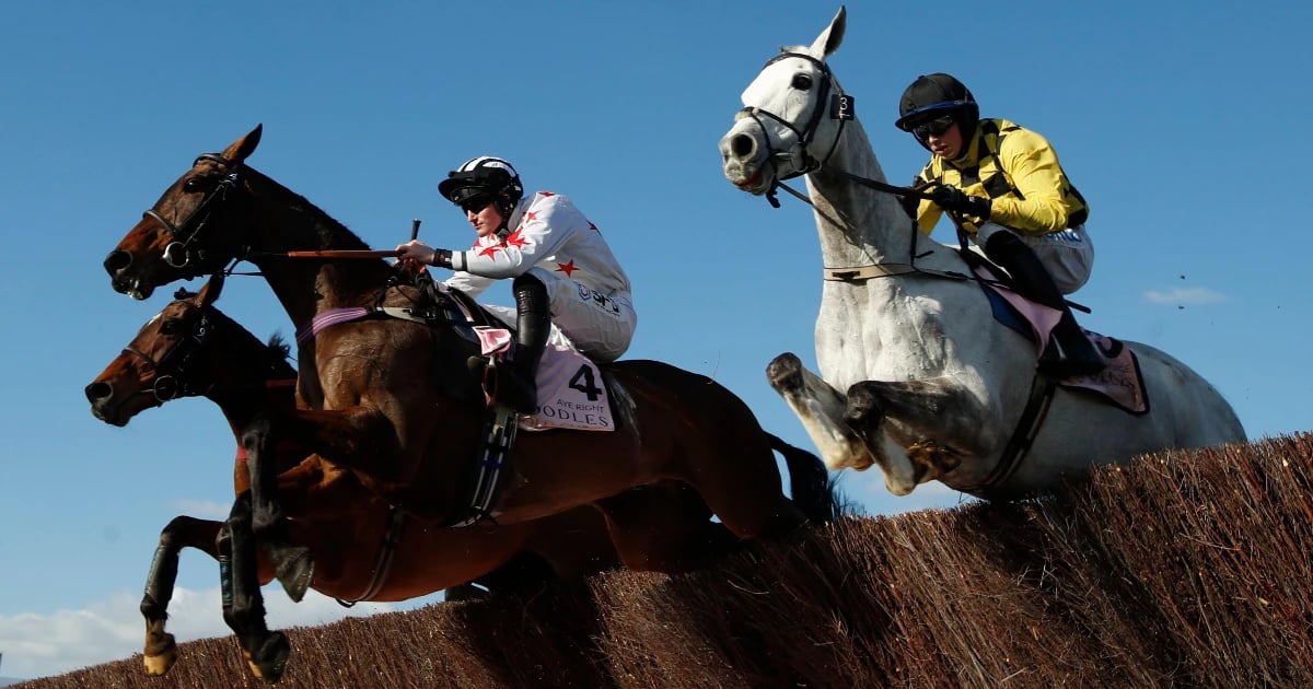 Cheltenham Gold Cup Tips: Runner By Runner Guide With Best Odds & Offers Cheltenham Gold Cup Tips: Runner By Runner Guide With Best Odds & Offers
