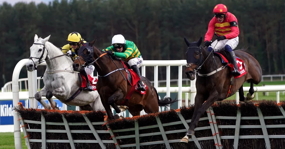 Punchestown Tips: Betting Picks For Day 4 At The Festival Punchestown Tips: Betting Picks For Day 4 At The Festival