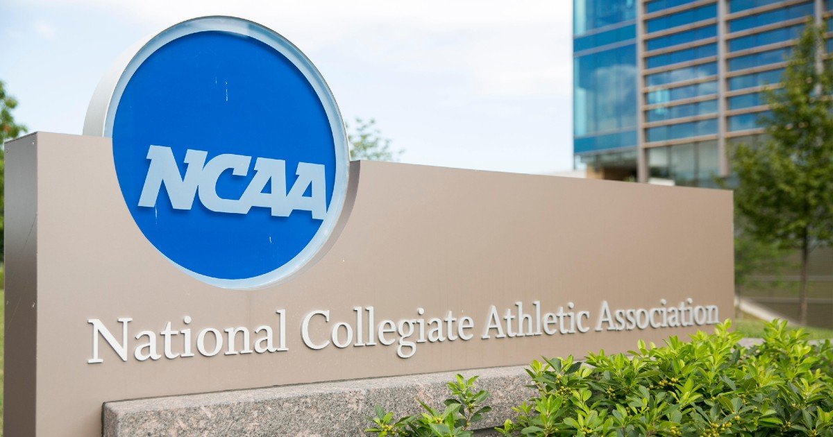 What Does The NCAA Betting Survey Really Say About College-Age Bettors What Does The NCAA Betting Survey Really Say About College-Age Bettors