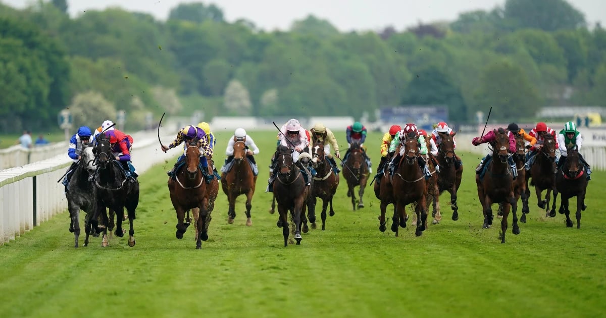 Horse Racing Betting: Donn McClean’s Horses To Follow Horse Racing Betting: Donn McClean’s Horses To Follow
