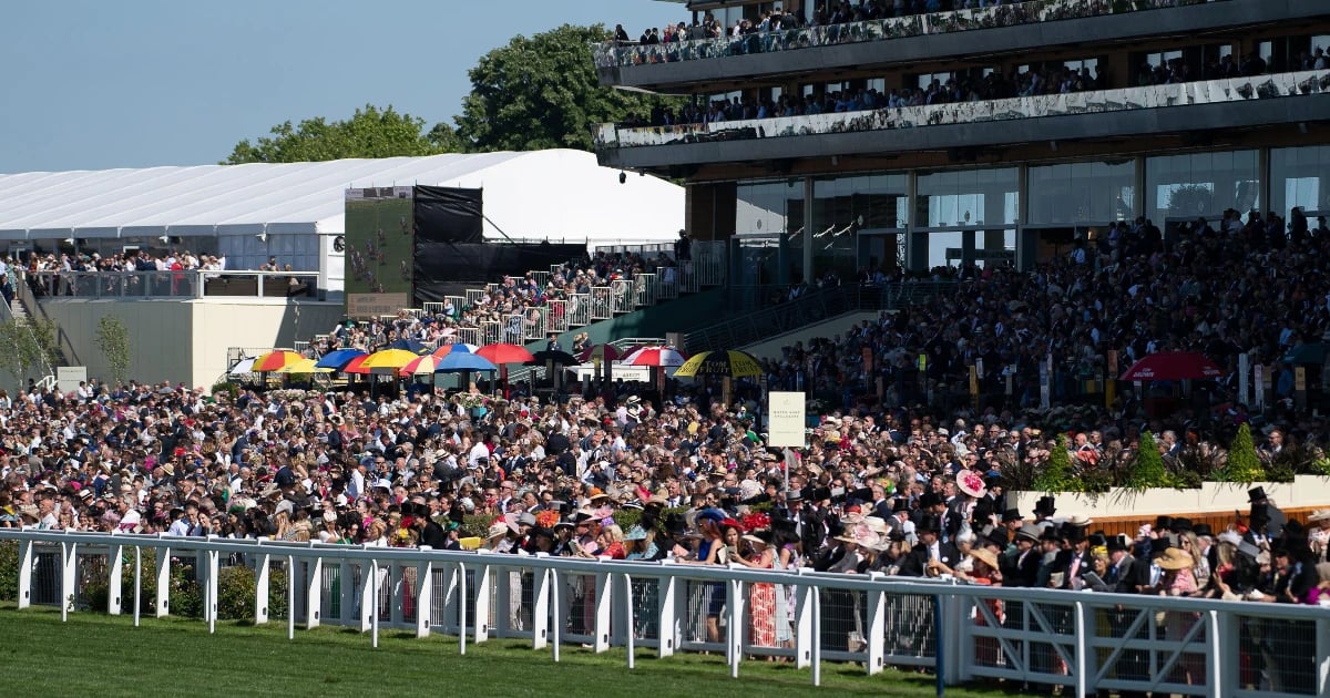 Donn McClean's Horses To Follow: January 20th to January 27th Donn McClean's Horses To Follow: January 20th to January 27th