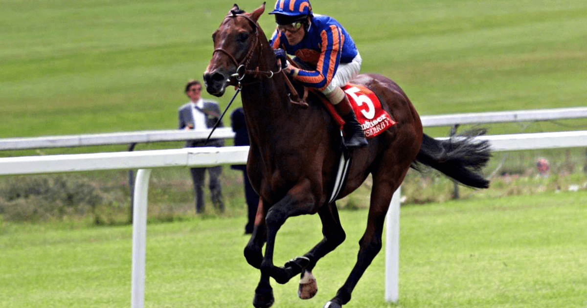Horse Racing Betting: Donn McClean’s Five Most Memorable Irish Derbys Horse Racing Betting: Donn McClean’s Five Most Memorable Irish Derbys