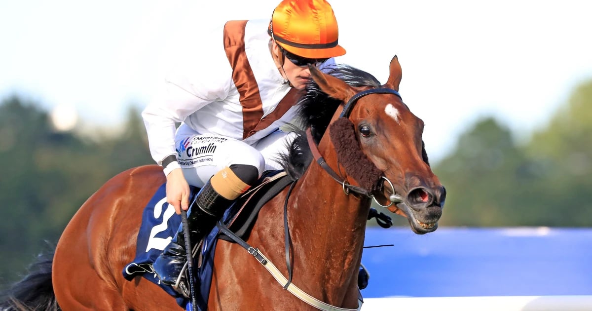Europeans to Note for the 2021 Breeders’ Cup Europeans to Note for the 2021 Breeders’ Cup