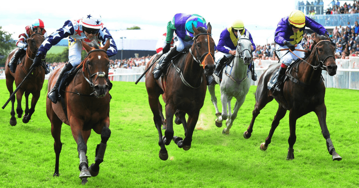 Horse Racing Betting: Donn McClean’s Three Most Memorable Ebor Winners Horse Racing Betting: Donn McClean’s Three Most Memorable Ebor Winners